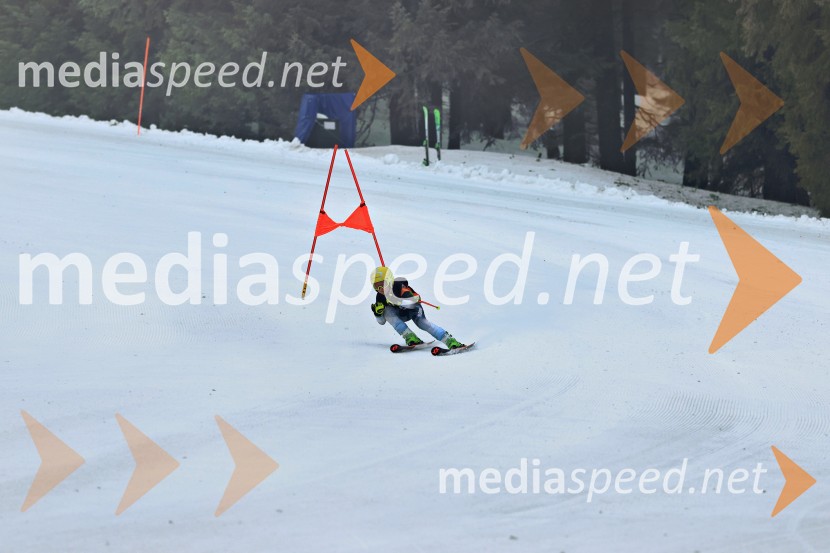 SMUČANJE - SUPER G, U10 in U12, Pokal vzhodne regije, Rogla