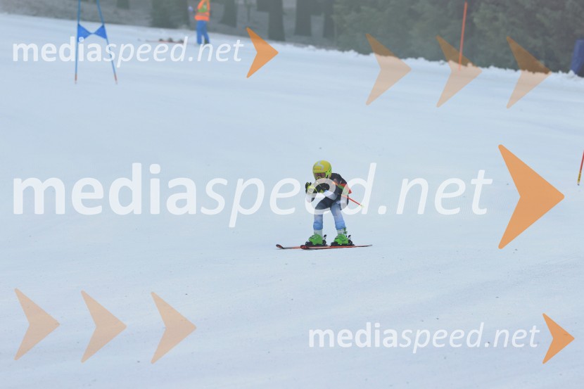 SMUČANJE - SUPER G, U10 in U12, Pokal vzhodne regije, Rogla