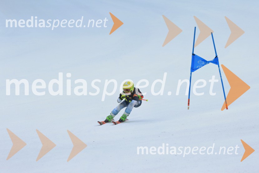 SMUČANJE - SUPER G, U10 in U12, Pokal vzhodne regije, Rogla