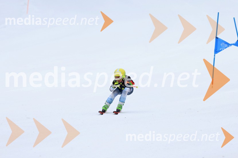 SMUČANJE - SUPER G, U10 in U12, Pokal vzhodne regije, Rogla