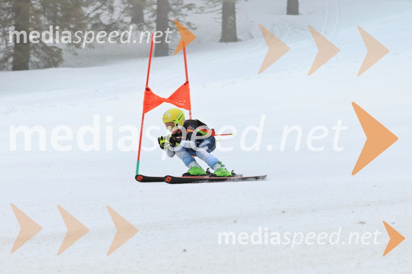 SMUČANJE - SUPER G, U10 in U12, Pokal vzhodne regije, Rogla