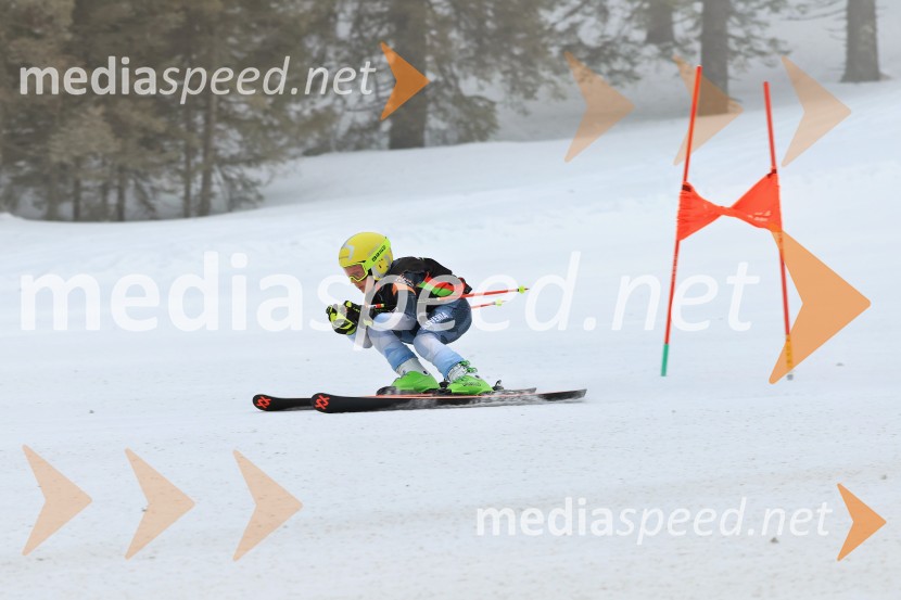 SMUČANJE - SUPER G, U10 in U12, Pokal vzhodne regije, Rogla