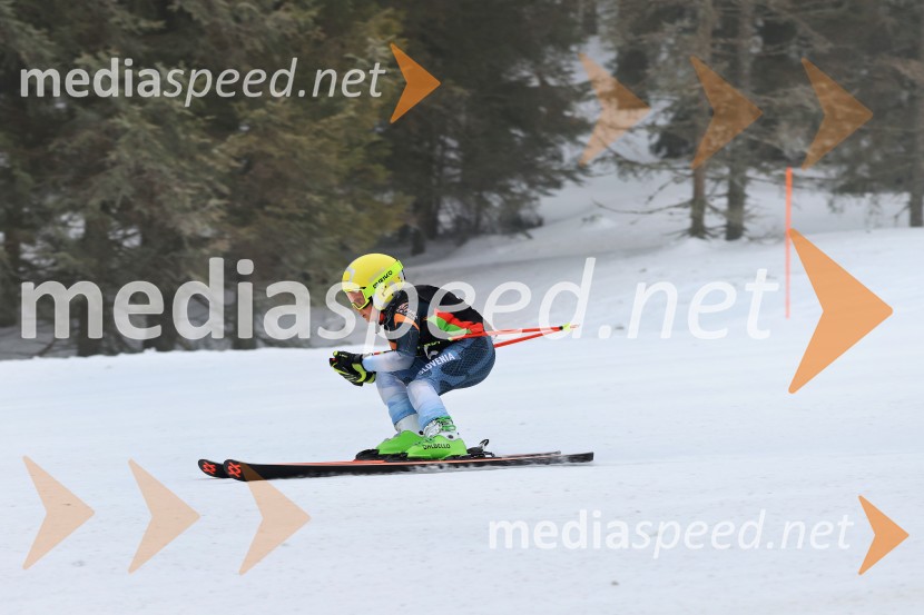 SMUČANJE - SUPER G, U10 in U12, Pokal vzhodne regije, Rogla