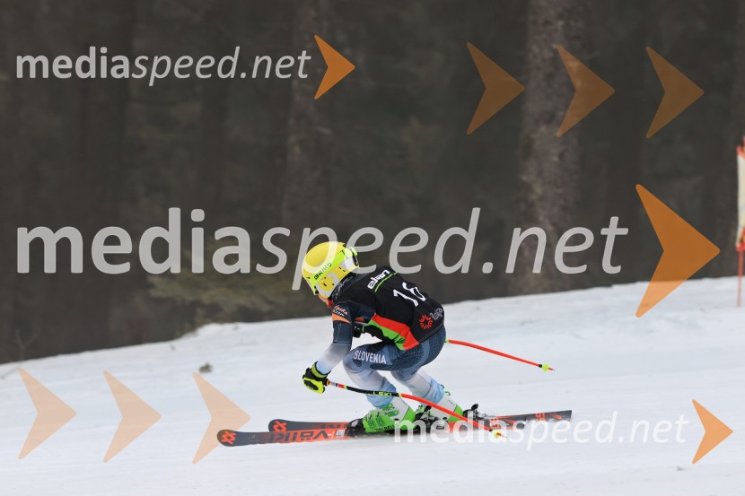 SMUČANJE - SUPER G, U10 in U12, Pokal vzhodne regije, Rogla