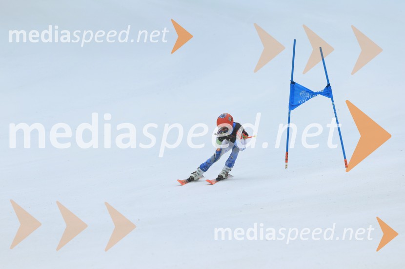 SMUČANJE - SUPER G, U10 in U12, Pokal vzhodne regije, Rogla