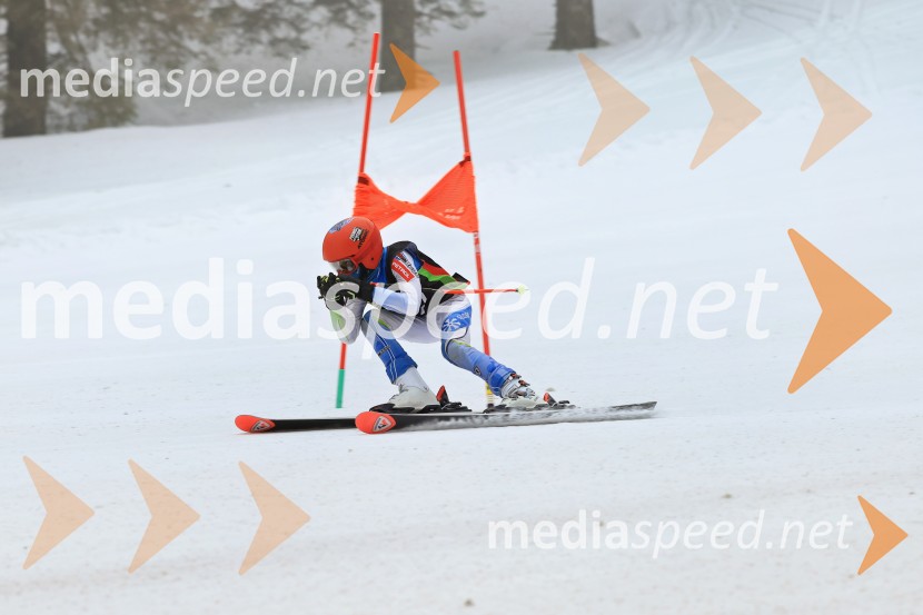 SMUČANJE - SUPER G, U10 in U12, Pokal vzhodne regije, Rogla
