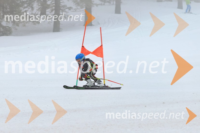 SMUČANJE - SUPER G, U10 in U12, Pokal vzhodne regije, Rogla