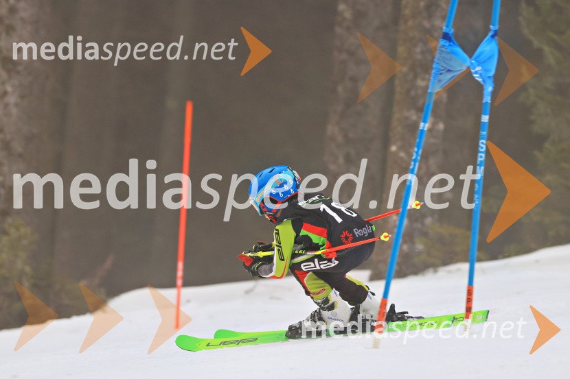 SMUČANJE - SUPER G, U10 in U12, Pokal vzhodne regije, Rogla