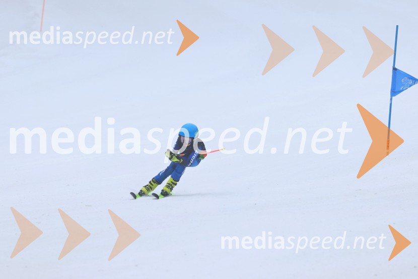 SMUČANJE - SUPER G, U10 in U12, Pokal vzhodne regije, Rogla