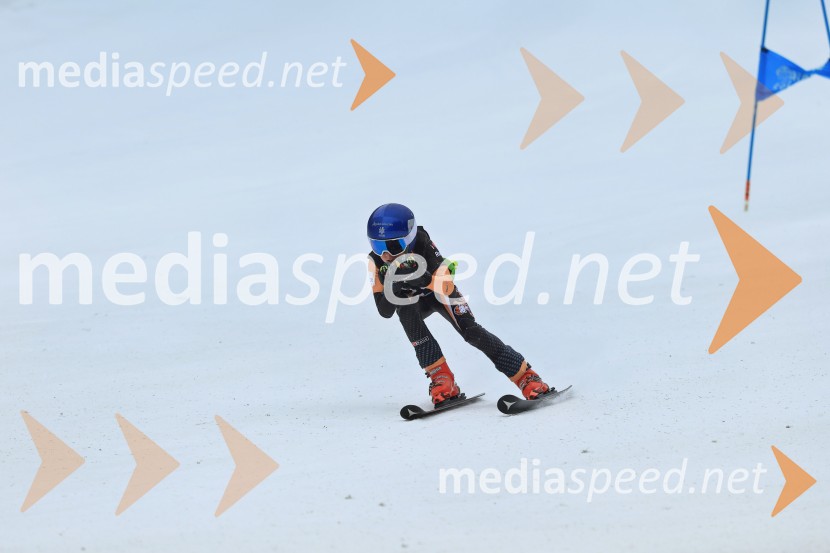 SMUČANJE - SUPER G, U10 in U12, Pokal vzhodne regije, Rogla