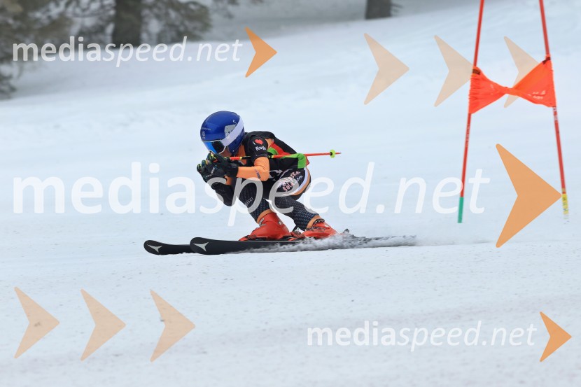 SMUČANJE - SUPER G, U10 in U12, Pokal vzhodne regije, Rogla