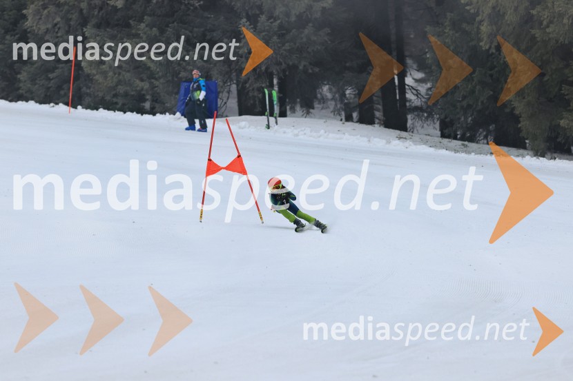 SMUČANJE - SUPER G, U10 in U12, Pokal vzhodne regije, Rogla