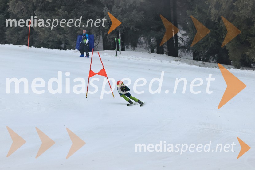 SMUČANJE - SUPER G, U10 in U12, Pokal vzhodne regije, Rogla