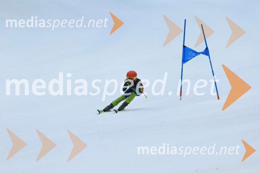 SMUČANJE - SUPER G, U10 in U12, Pokal vzhodne regije, Rogla