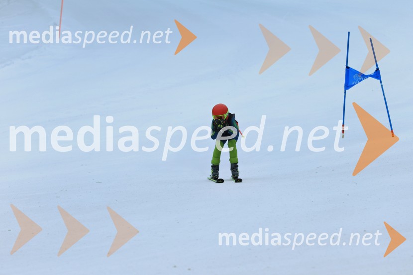 SMUČANJE - SUPER G, U10 in U12, Pokal vzhodne regije, Rogla