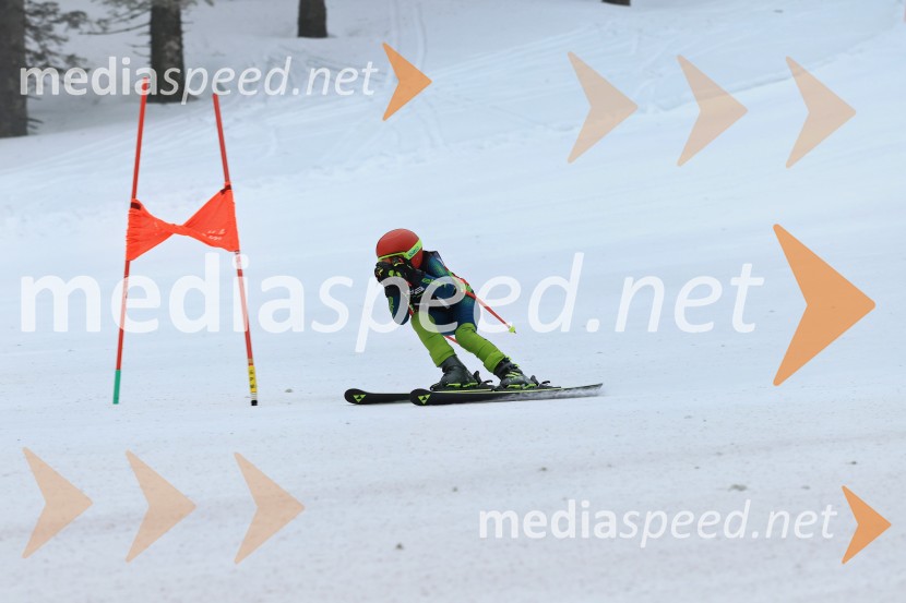 SMUČANJE - SUPER G, U10 in U12, Pokal vzhodne regije, Rogla