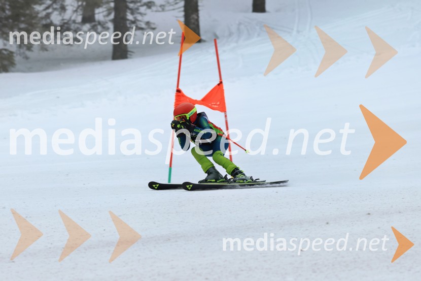 SMUČANJE - SUPER G, U10 in U12, Pokal vzhodne regije, Rogla