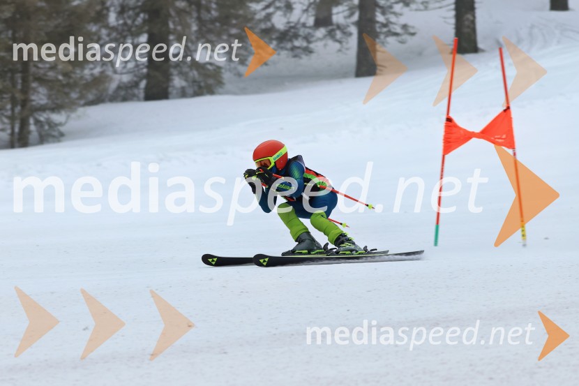 SMUČANJE - SUPER G, U10 in U12, Pokal vzhodne regije, Rogla