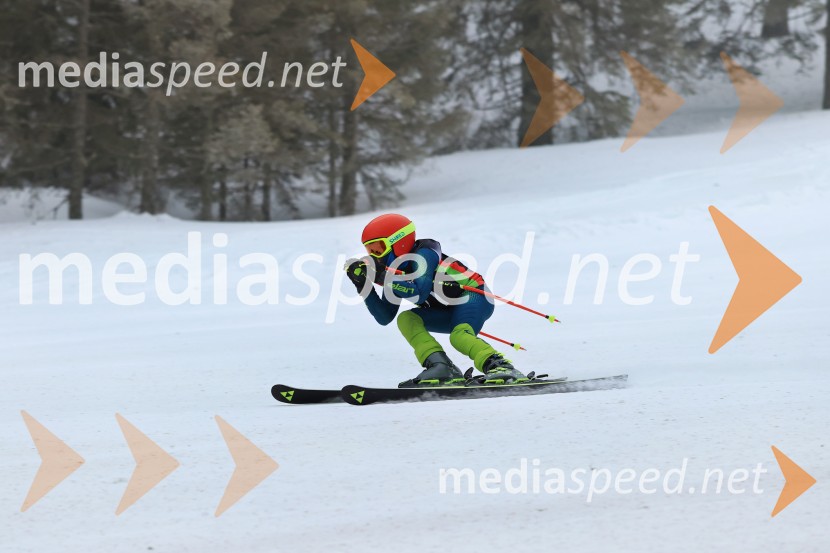 SMUČANJE - SUPER G, U10 in U12, Pokal vzhodne regije, Rogla