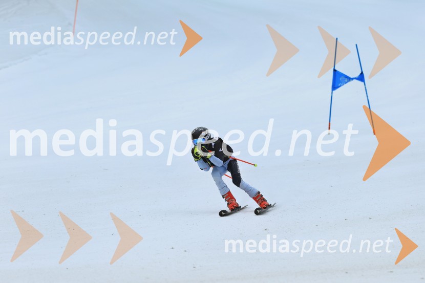 SMUČANJE - SUPER G, U10 in U12, Pokal vzhodne regije, Rogla