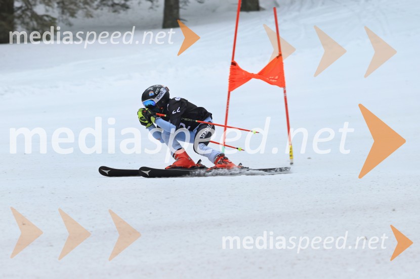 SMUČANJE - SUPER G, U10 in U12, Pokal vzhodne regije, Rogla
