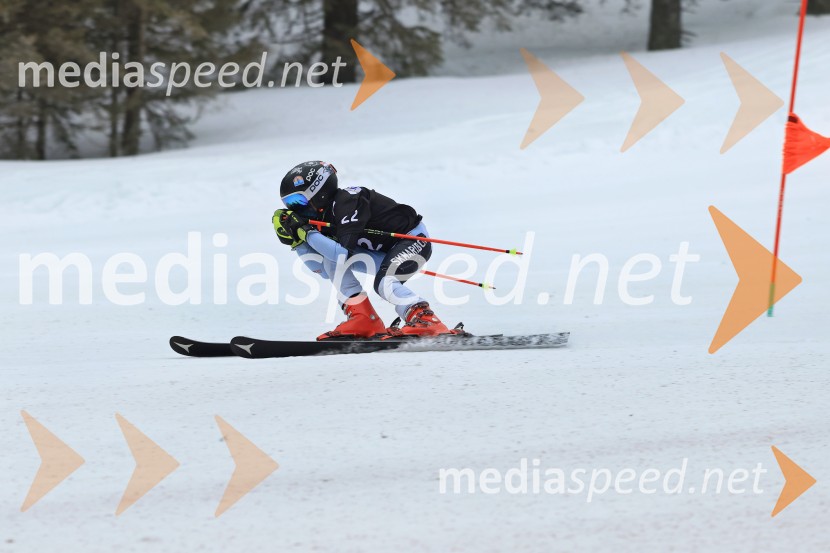 SMUČANJE - SUPER G, U10 in U12, Pokal vzhodne regije, Rogla