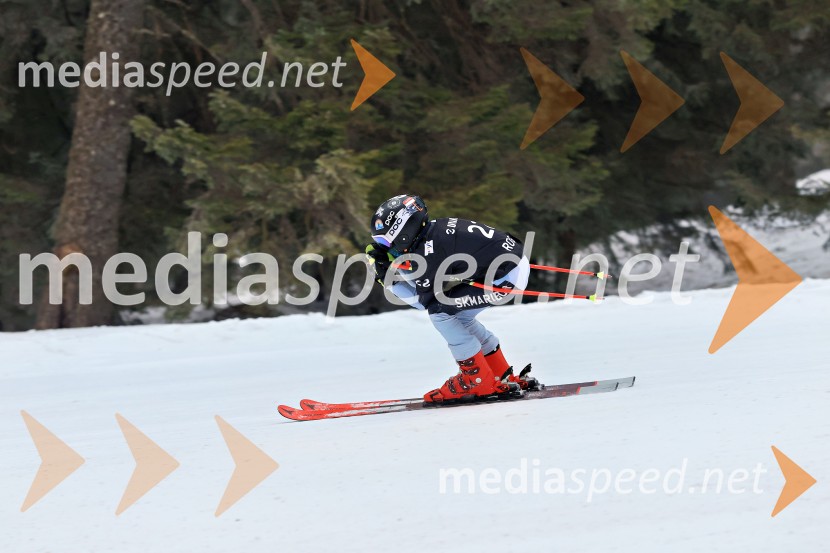 SMUČANJE - SUPER G, U10 in U12, Pokal vzhodne regije, Rogla