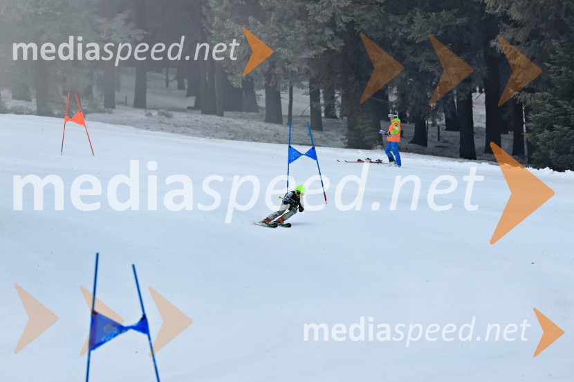 SMUČANJE - SUPER G, U10 in U12, Pokal vzhodne regije, Rogla