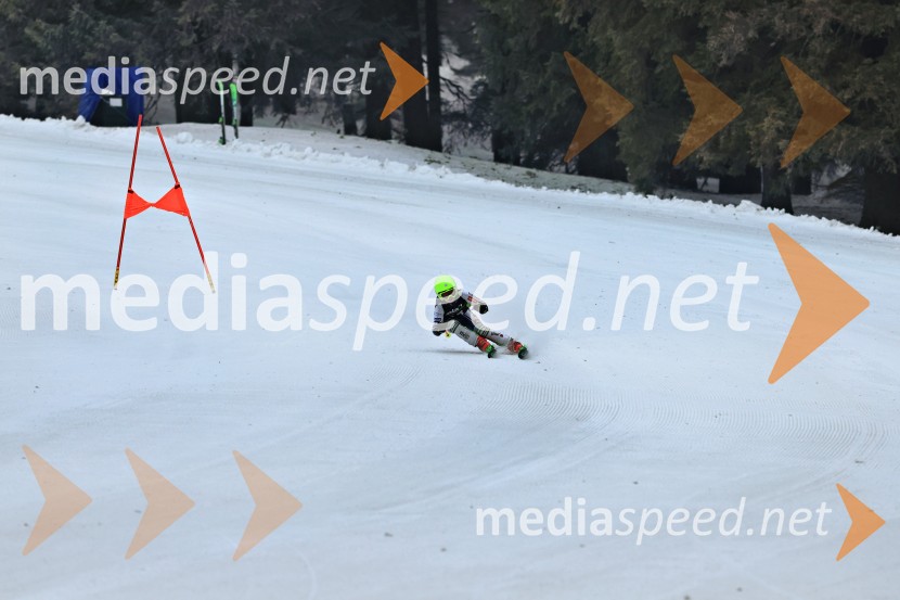 SMUČANJE - SUPER G, U10 in U12, Pokal vzhodne regije, Rogla