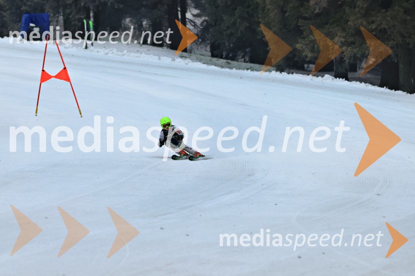 SMUČANJE - SUPER G, U10 in U12, Pokal vzhodne regije, Rogla