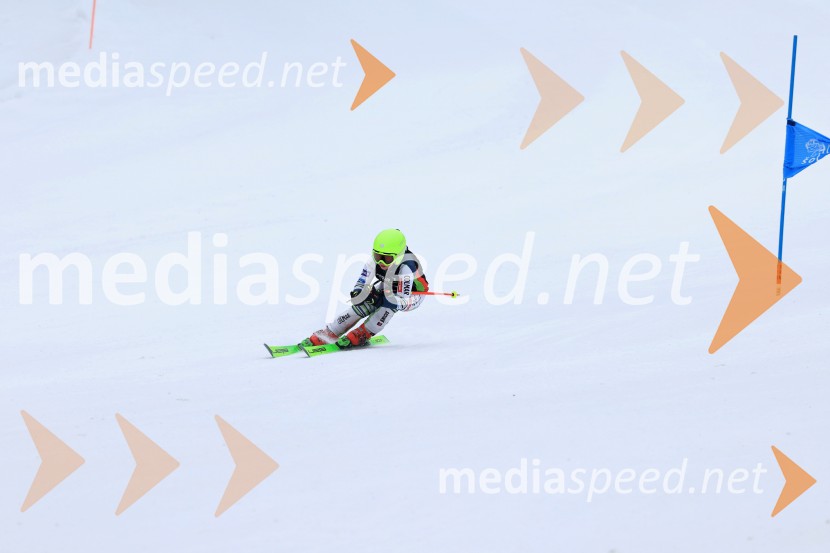 SMUČANJE - SUPER G, U10 in U12, Pokal vzhodne regije, Rogla