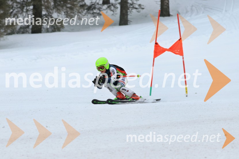 SMUČANJE - SUPER G, U10 in U12, Pokal vzhodne regije, Rogla