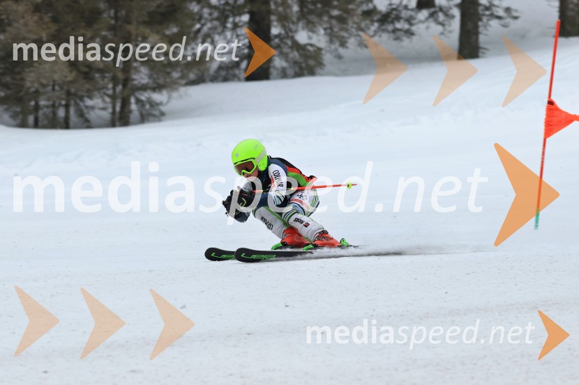 SMUČANJE - SUPER G, U10 in U12, Pokal vzhodne regije, Rogla