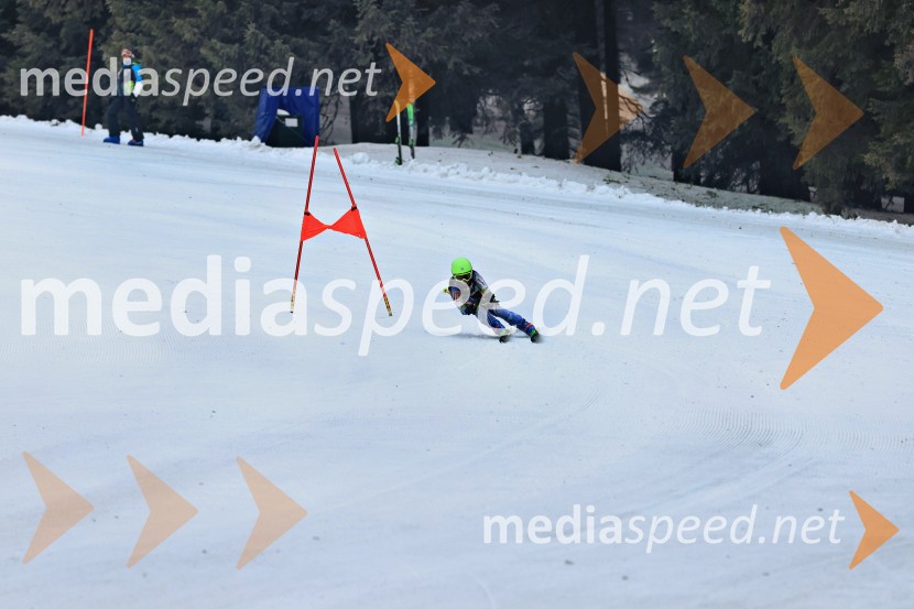 SMUČANJE - SUPER G, U10 in U12, Pokal vzhodne regije, Rogla
