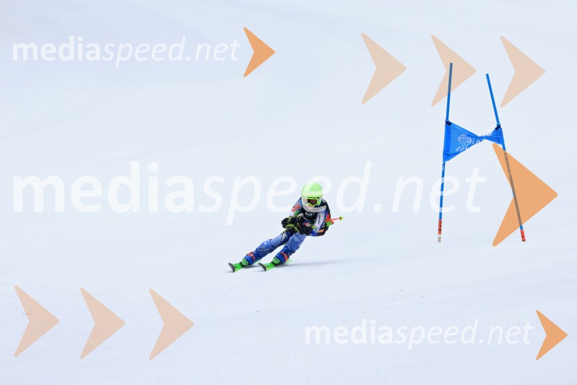 SMUČANJE - SUPER G, U10 in U12, Pokal vzhodne regije, Rogla