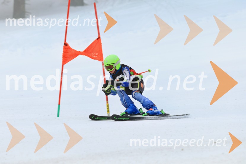 SMUČANJE - SUPER G, U10 in U12, Pokal vzhodne regije, Rogla
