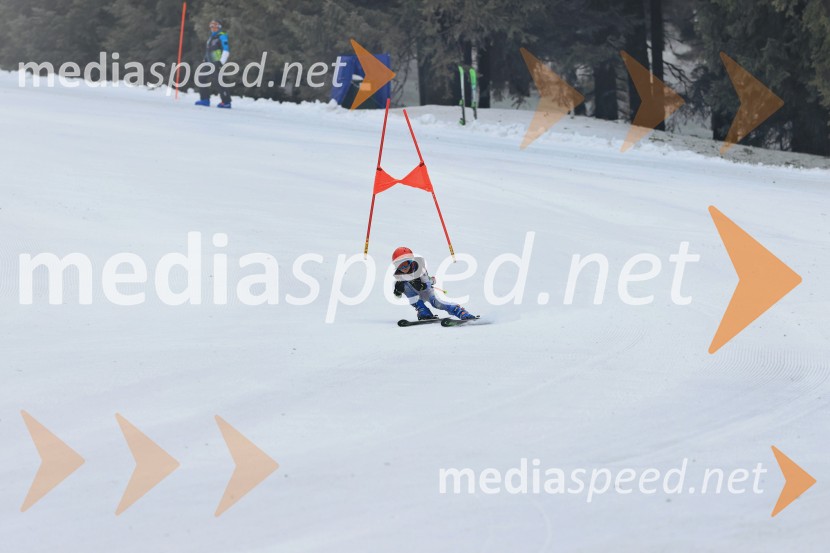 SMUČANJE - SUPER G, U10 in U12, Pokal vzhodne regije, Rogla