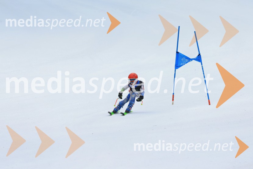 SMUČANJE - SUPER G, U10 in U12, Pokal vzhodne regije, Rogla