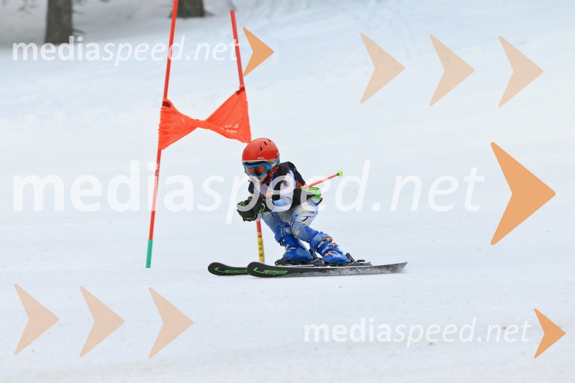 SMUČANJE - SUPER G, U10 in U12, Pokal vzhodne regije, Rogla
