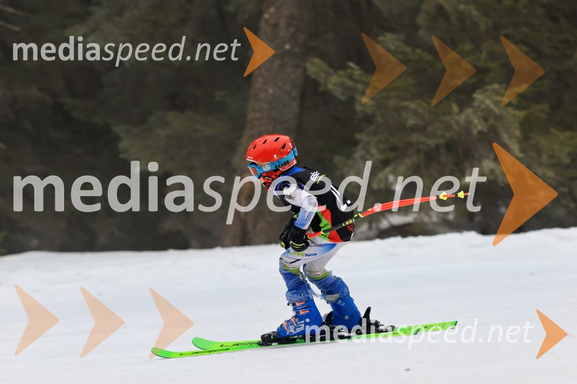 SMUČANJE - SUPER G, U10 in U12, Pokal vzhodne regije, Rogla