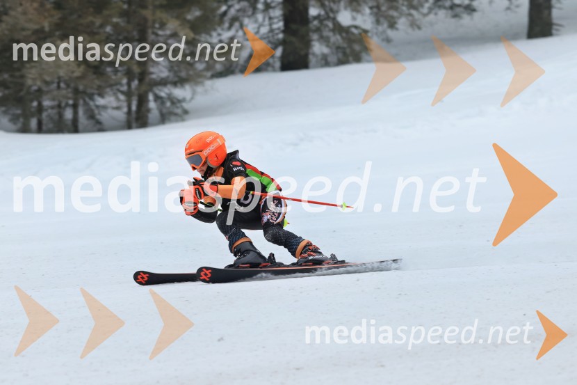 SMUČANJE - SUPER G, U10 in U12, Pokal vzhodne regije, Rogla