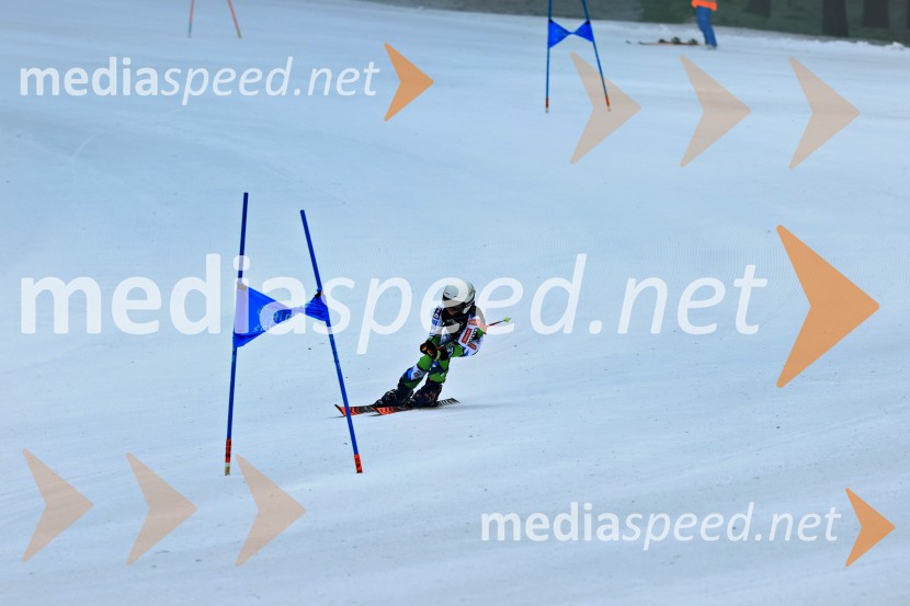 SMUČANJE - SUPER G, U10 in U12, Pokal vzhodne regije, Rogla