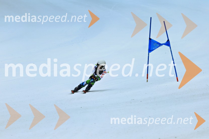 SMUČANJE - SUPER G, U10 in U12, Pokal vzhodne regije, Rogla