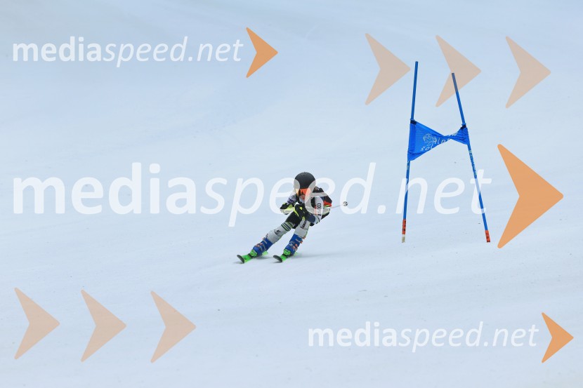 SMUČANJE - SUPER G, U10 in U12, Pokal vzhodne regije, Rogla