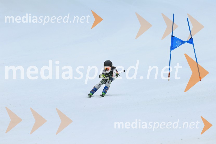 SMUČANJE - SUPER G, U10 in U12, Pokal vzhodne regije, Rogla