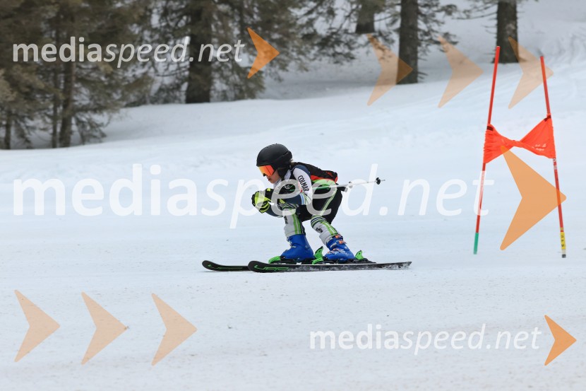 SMUČANJE - SUPER G, U10 in U12, Pokal vzhodne regije, Rogla