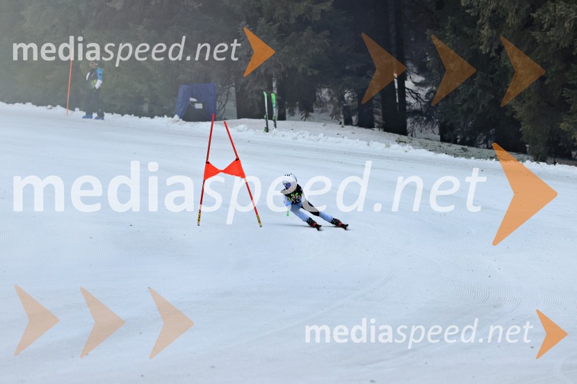 SMUČANJE - SUPER G, U10 in U12, Pokal vzhodne regije, Rogla