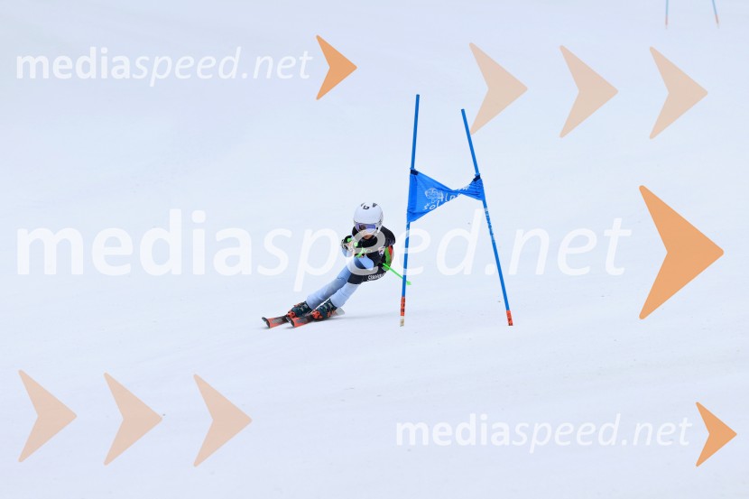 SMUČANJE - SUPER G, U10 in U12, Pokal vzhodne regije, Rogla