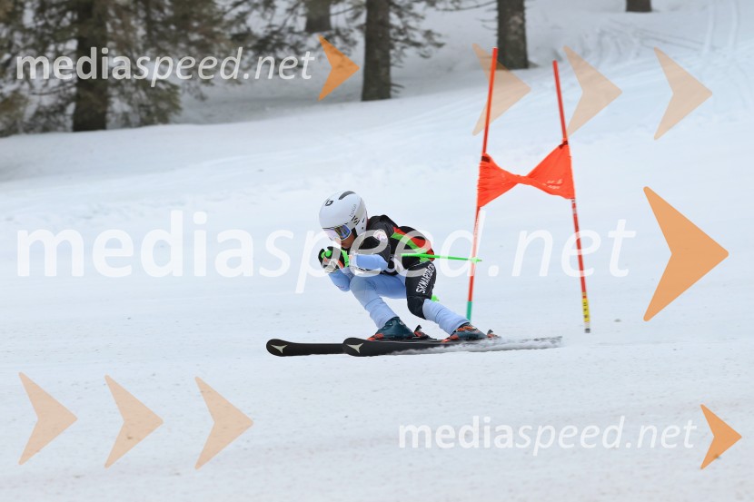 SMUČANJE - SUPER G, U10 in U12, Pokal vzhodne regije, Rogla