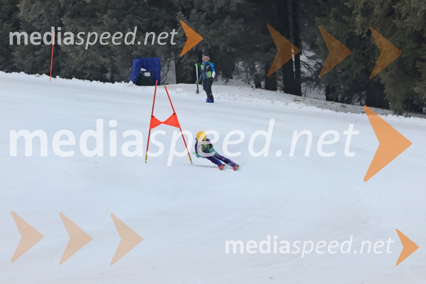 SMUČANJE - SUPER G, U10 in U12, Pokal vzhodne regije, Rogla